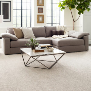 large living room covered with light brown carpeting, tan couch, and books on top of a coffee table