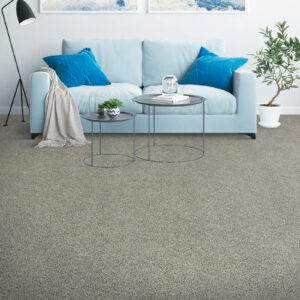 placid reflection carpeting in the living room with two circle coffee tables and a light blue couch