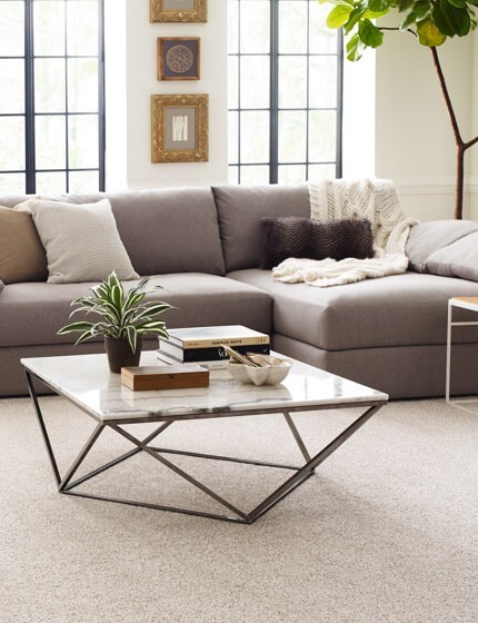 Living room with carpet | Brian's Flooring & Design