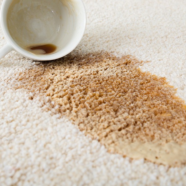 Carpet Coffee Spill | Brian's Flooring & Design