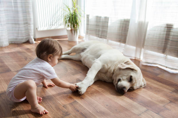 Flooring | Brian's Flooring & Design
