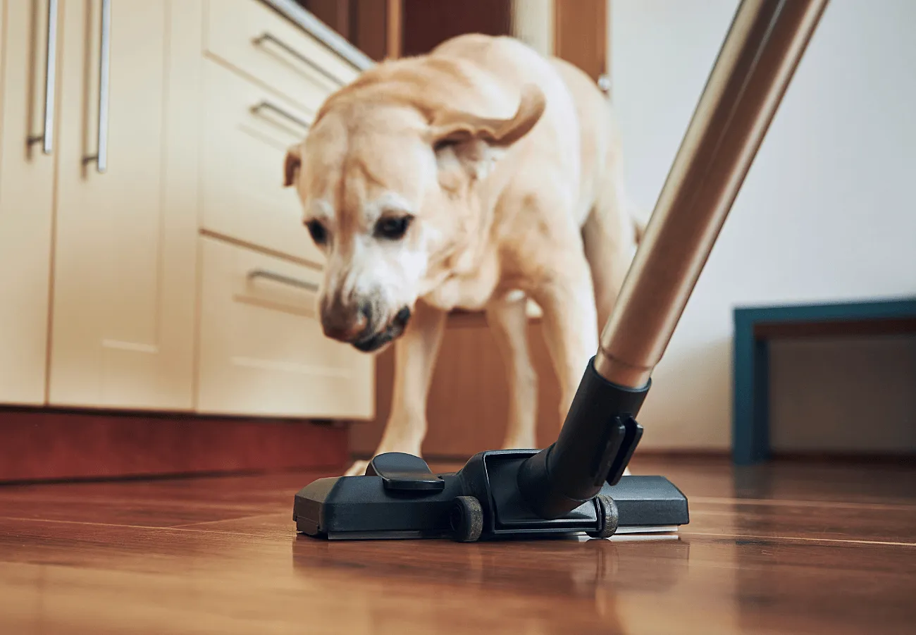 DAILY-CLEANING-IMAGE Hardwood care | Brian's Flooring & Design
