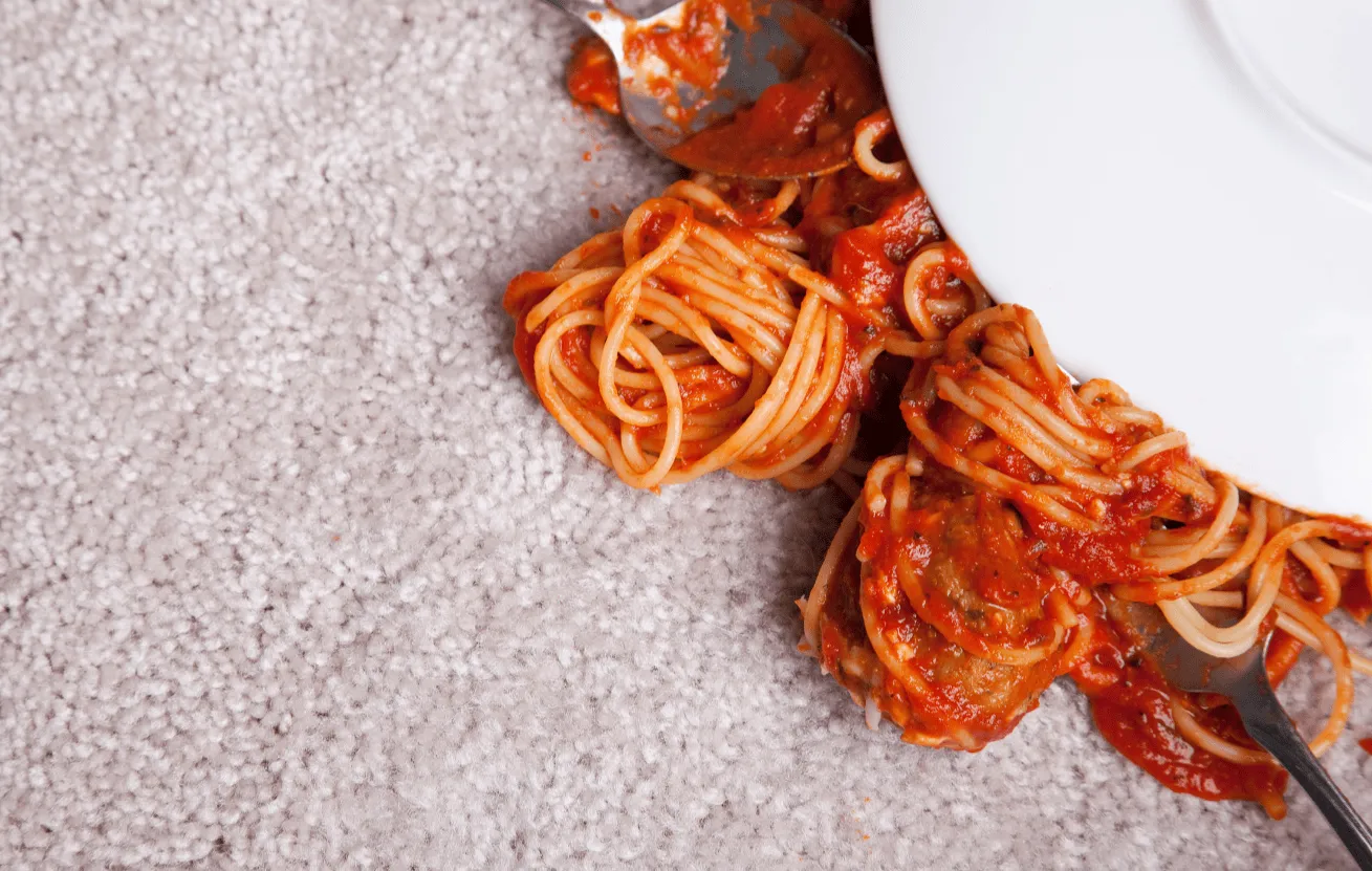 Carpet care | Brian's Flooring & Design